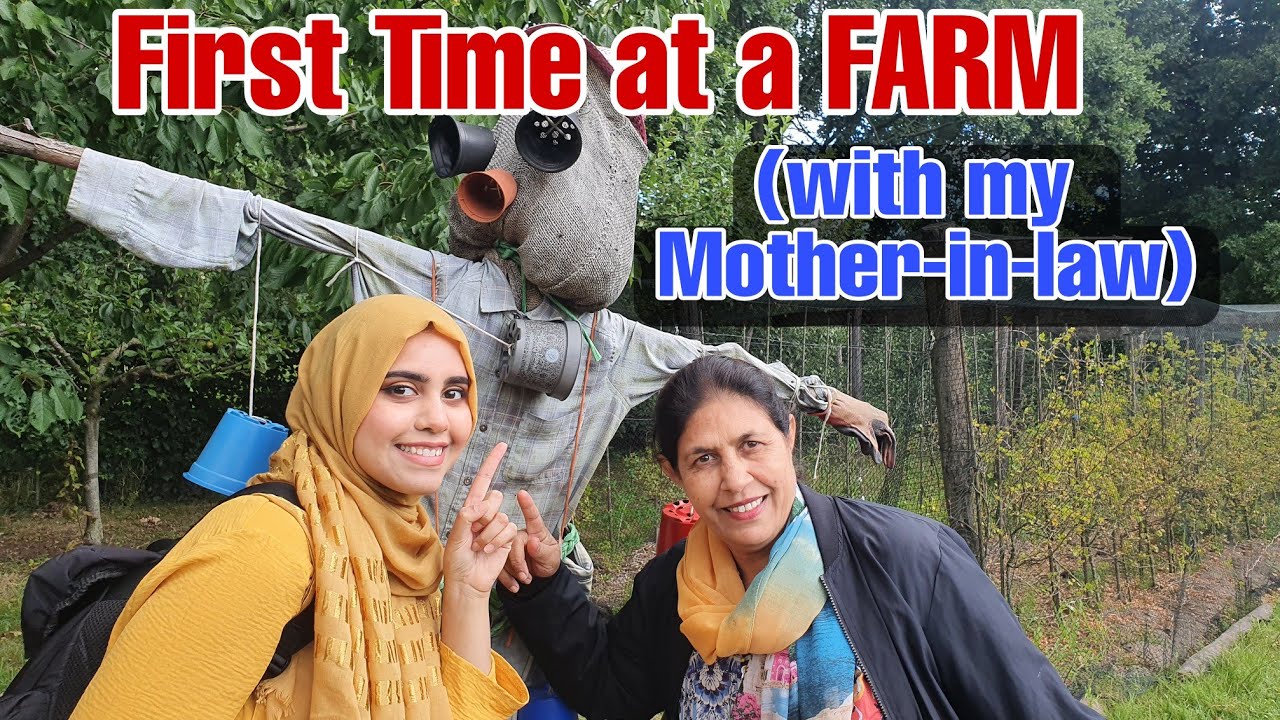 FIRST TIME AT A FARM IN NETHERLANDS WITH MY MOTHER IN LAW | Cheese Factory Tour |  Eindhoven Center
