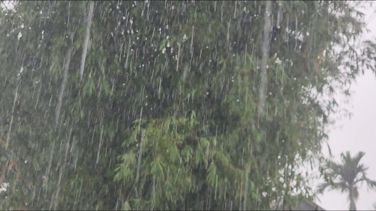 Heavy Rainfall In the Streets | Roamer SaGa |
