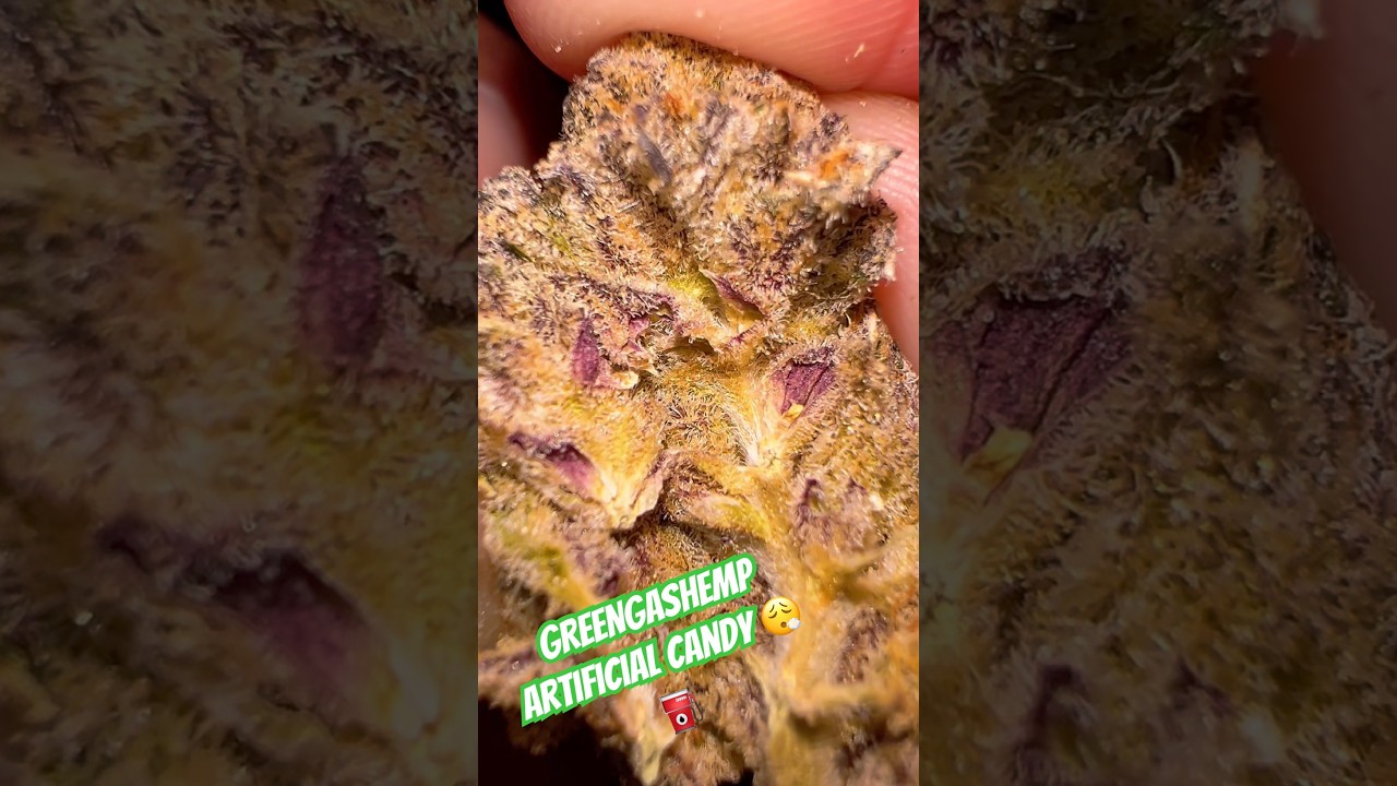 Artificial Candy GreenGasHemp #subscribe #review #420community #freethatplant #greengashemp
