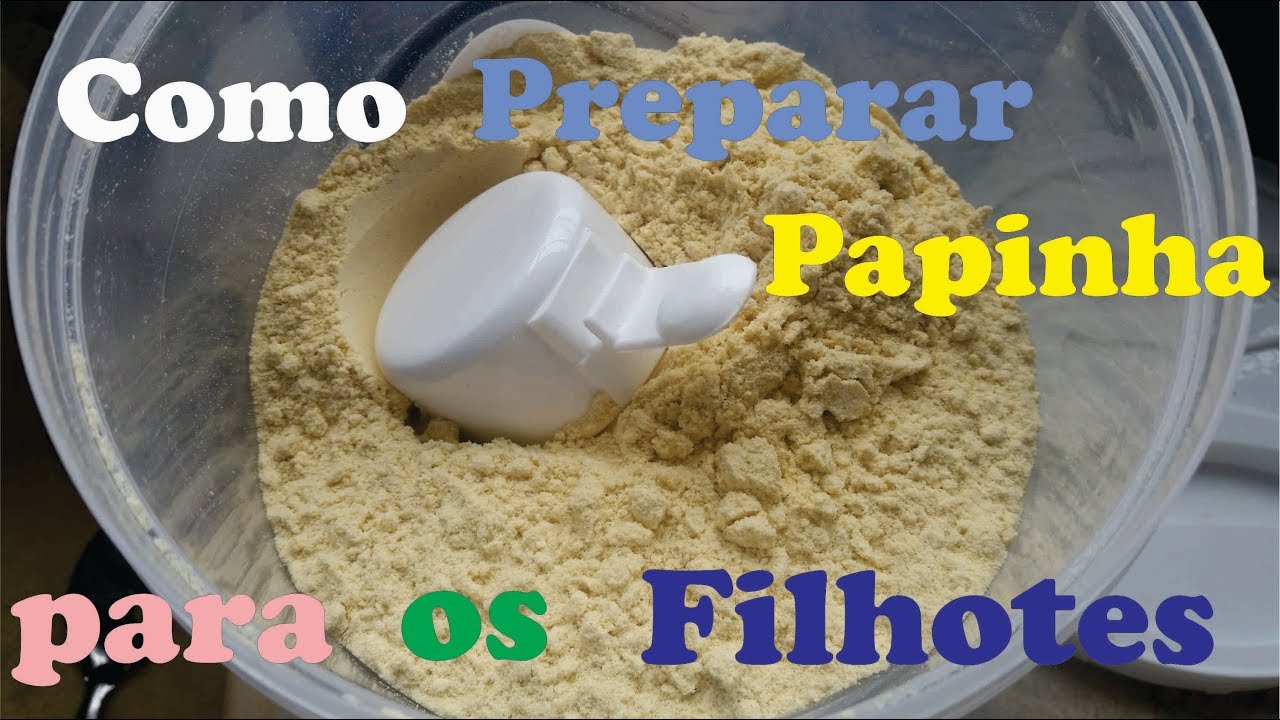 Como Preparar Papinha para filhotes