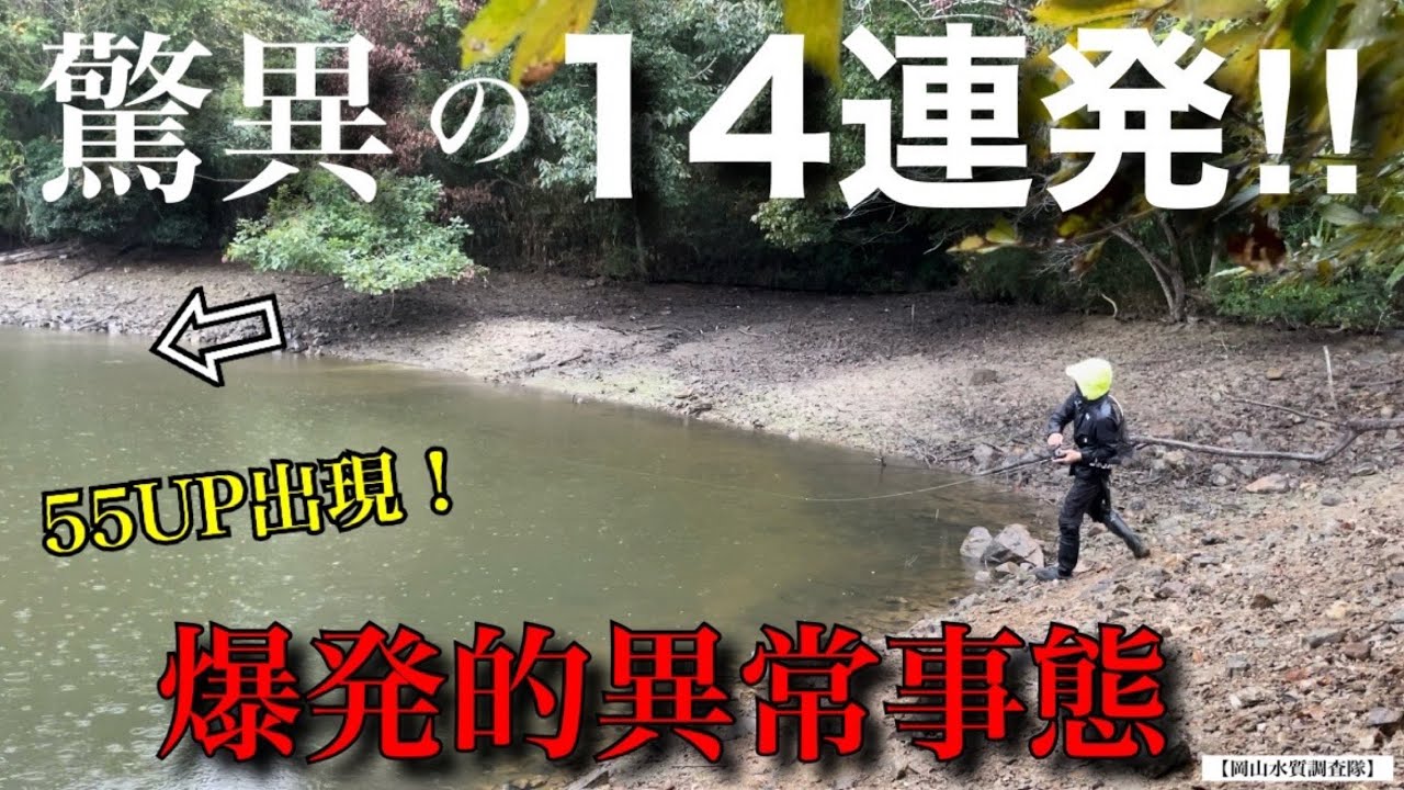 【神回】チャターベイトで驚異の14連発‼︎ 55UPも登場！ヤバすぎる釣り方がそこにはありました。『バス釣り』　一誠　AKチャター　ボルケーノII   バルサ50 ビッグラッシュスケーター