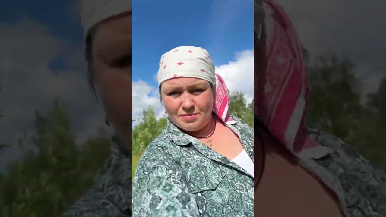Покосы на севере. #покос # болото