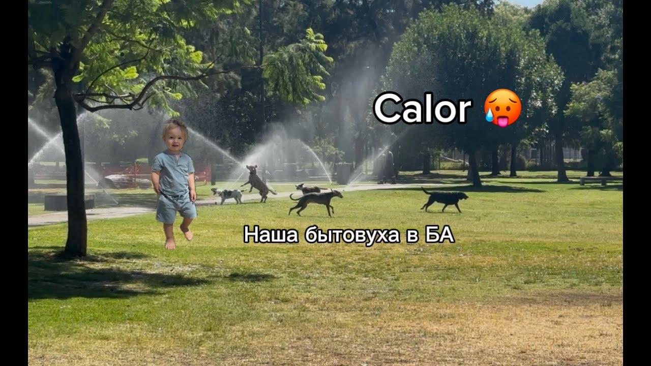 Меня поглотили жара и бытовуха 😵‍💫 Обычный день в БА: велопрогулка, пилатес и закупка