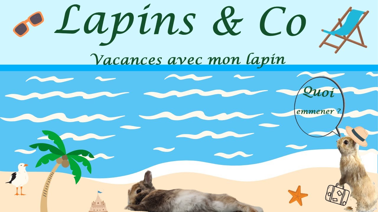 Vacances avec mon lapin
