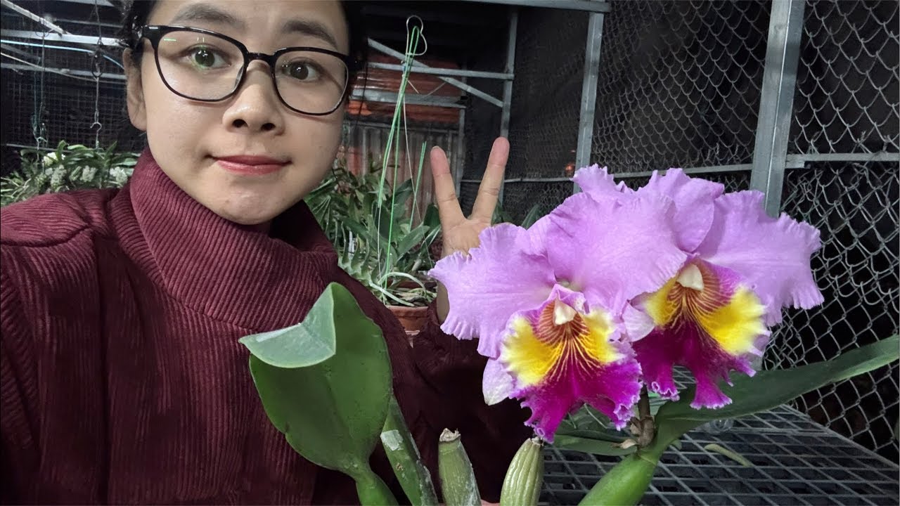 Live 24/01/2026: Xin chào cả nhà ✌️✌️ - Trà ngon & Lan đẹp cùng e Nấm ạ ❤️