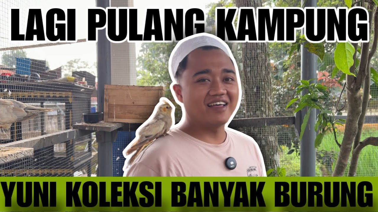REVIEW KANDANG BARU DAN BANYAK BERBAGAI BURUNG