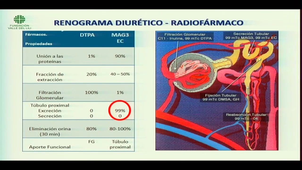 18  Punto de vista del Médico Nuclear Cómo informar DRa  Luz Maritza Pabon