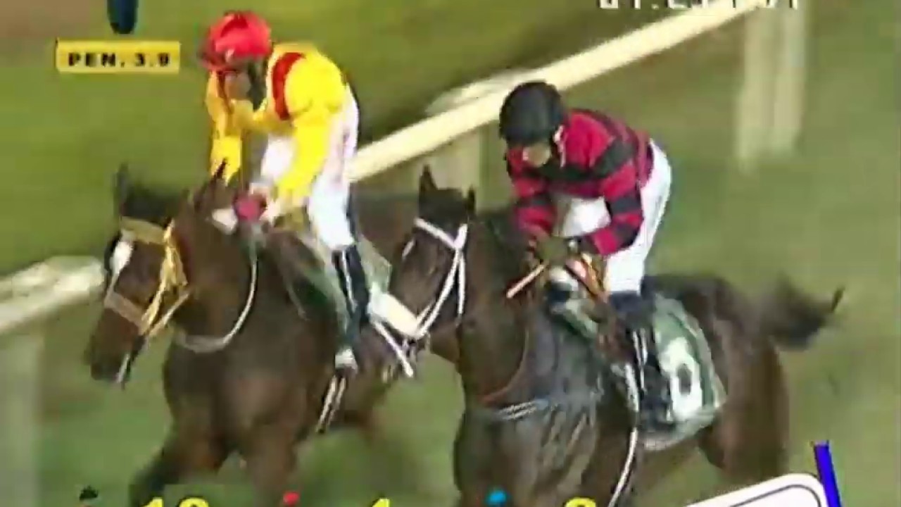 Black Cherry with J Chinoy up The Isn't She Special Plate Div 1 2020