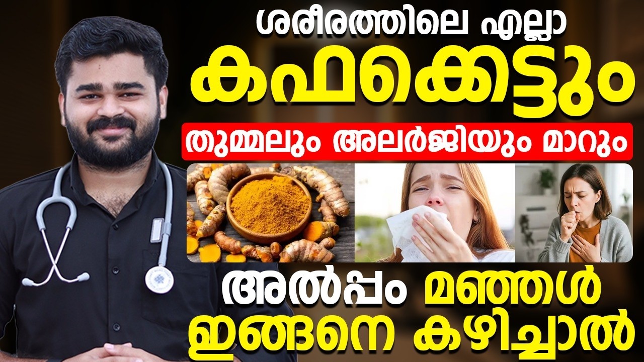 ശരീരത്തിൽ ഒരു തുള്ളി കഫം പോലും ഉണ്ടാകില്ല ¦ അലർജിയും തുമ്മലും സ്വിച്ചിട്ടപ്പോലെ നിൽക്കും