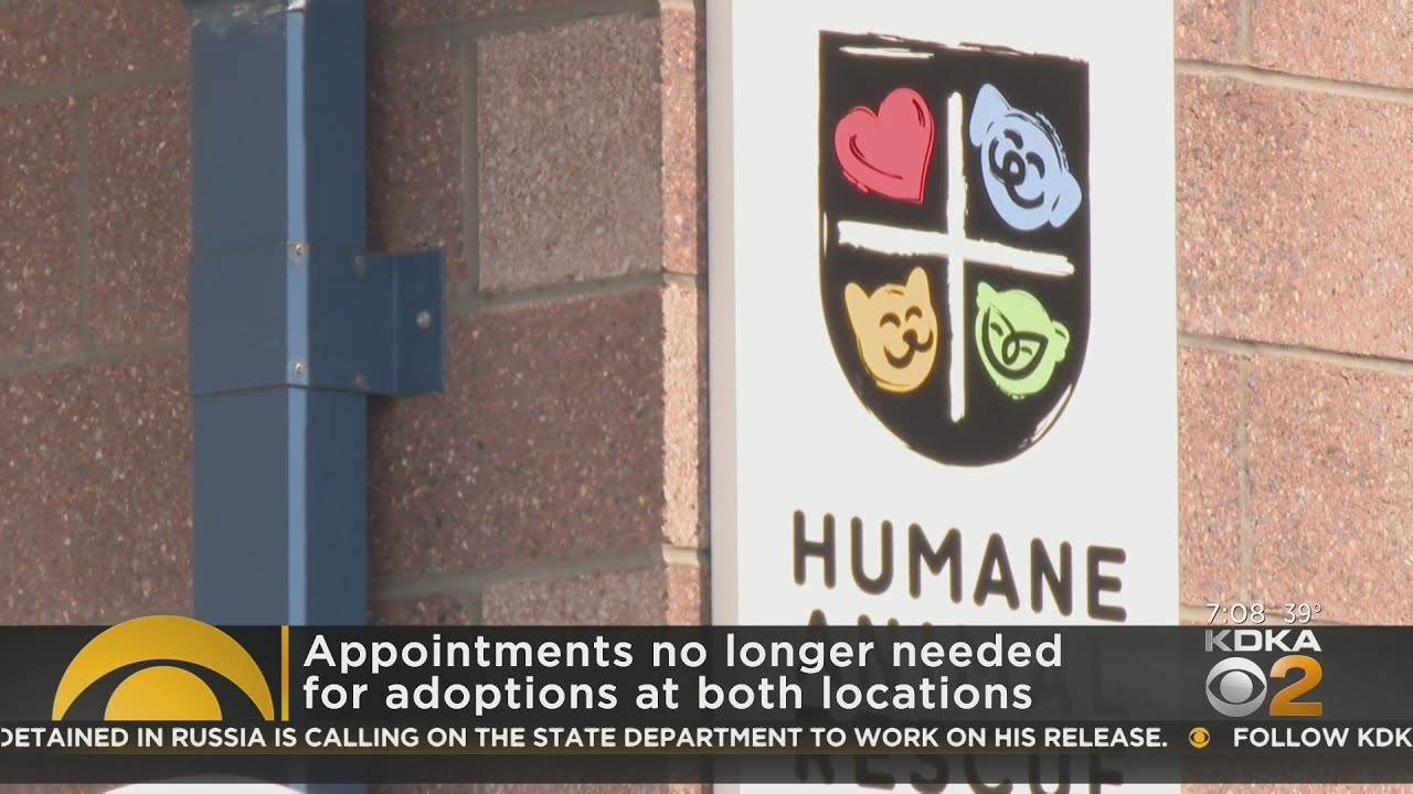 Humane Animal Rescue of Pittsburgh changes adoption hours amid increase of intakes