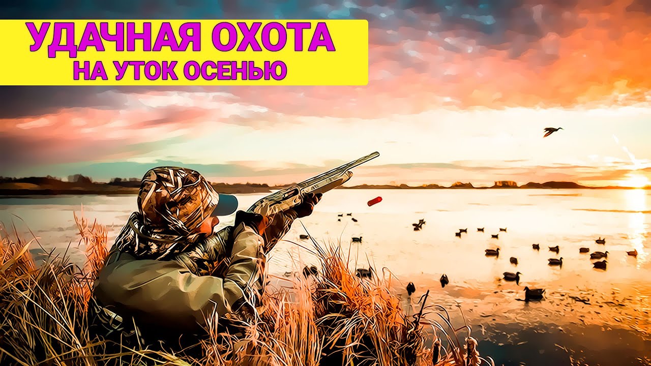 ОХОТА на УТОК поздней осенью на большом озере. Кряквы и свиязи.