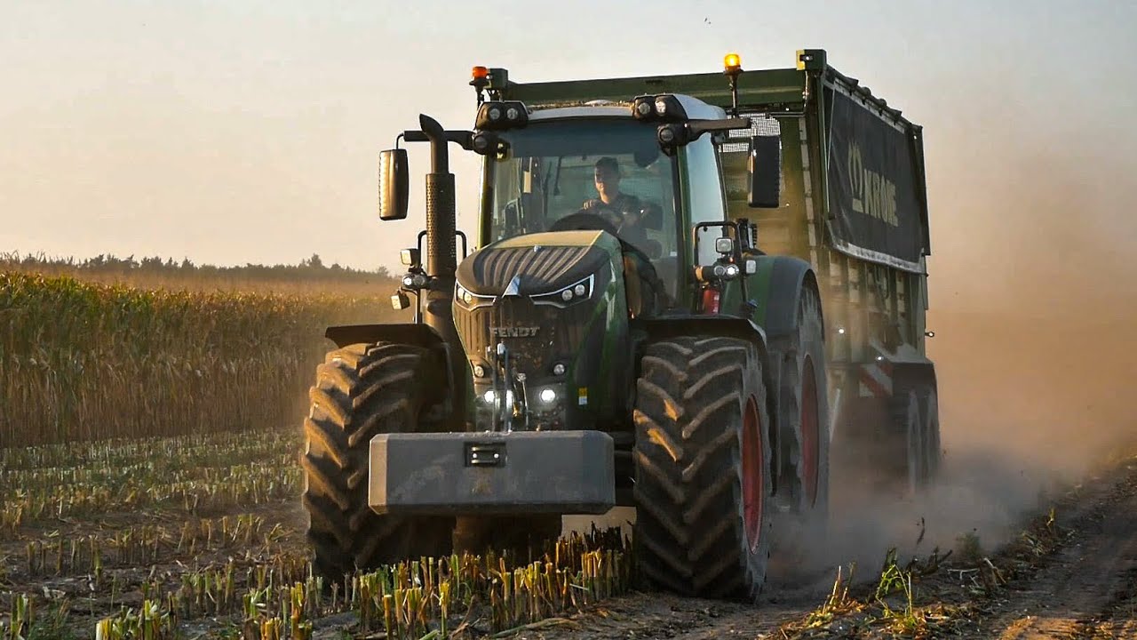 Kukurydza na kiszonkę 2024 | GR Wojewódzki & F.H MAXIM | AgroFarmer TEAM