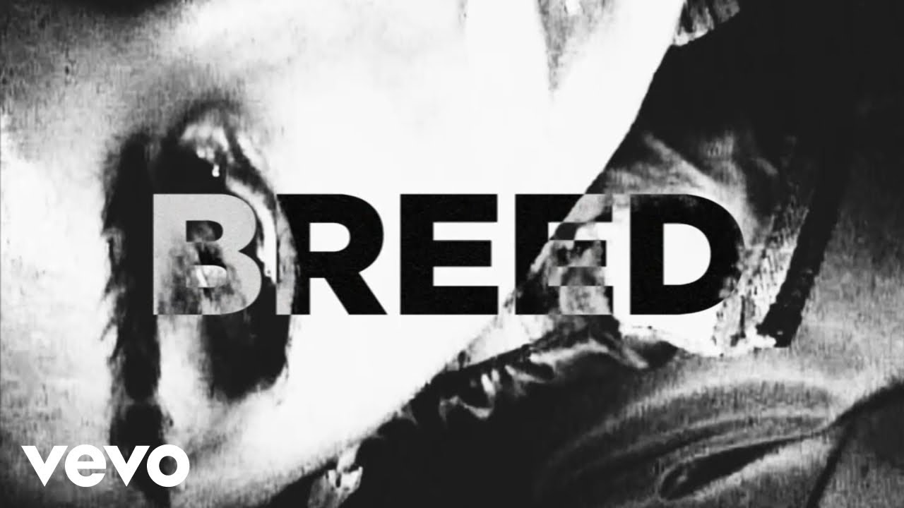 Toronto Is Broken - Breed (feat. REEBZ) [Official Music Video]