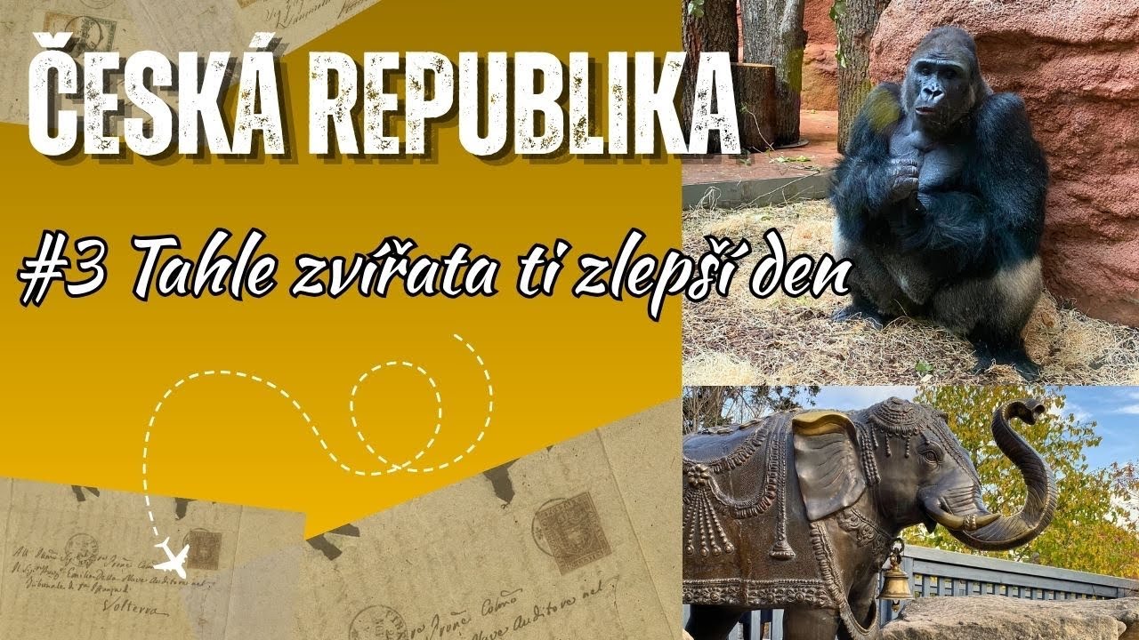 3. ZOO Praha - Procházka mezi zvířaty | Česká Republika