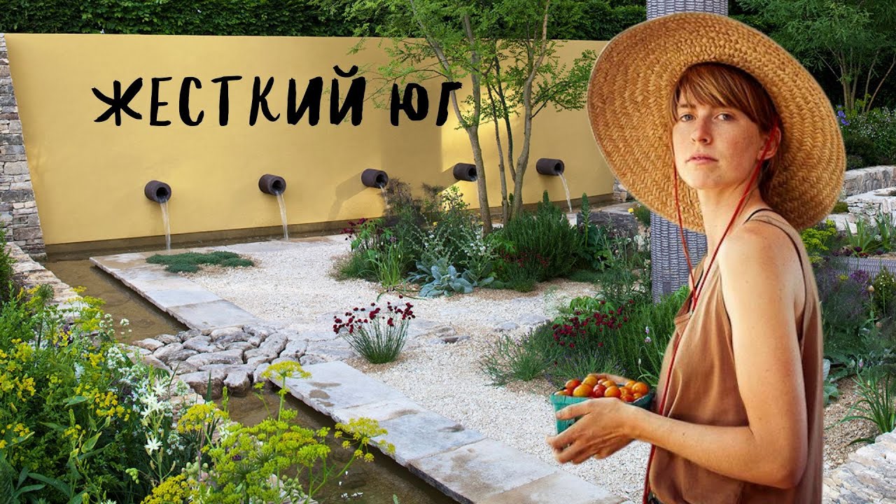 сад без воды