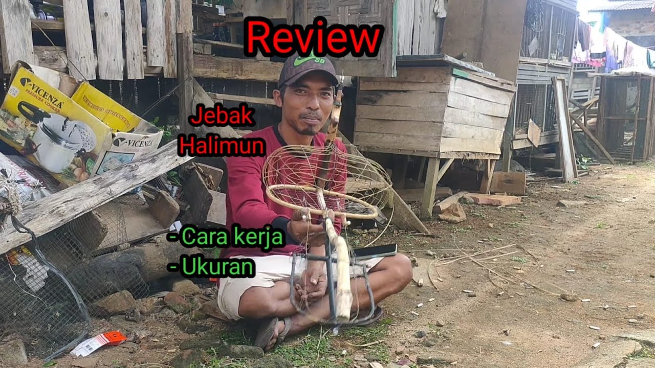 Mengulas jebak halimun yang sedang trending