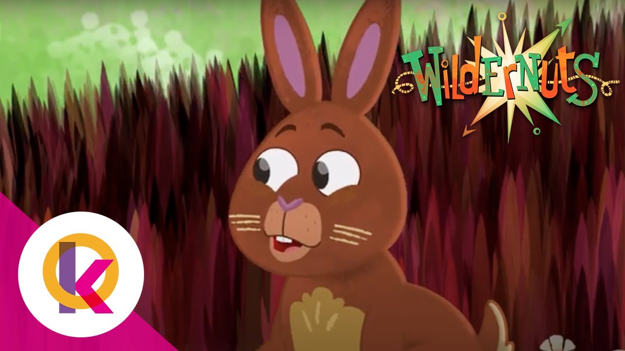 🌰 Wildernuts - Just My Luck | S1 E23 | Kids Learning | Educational Cartoon | Cartoon | Kids Cartoon