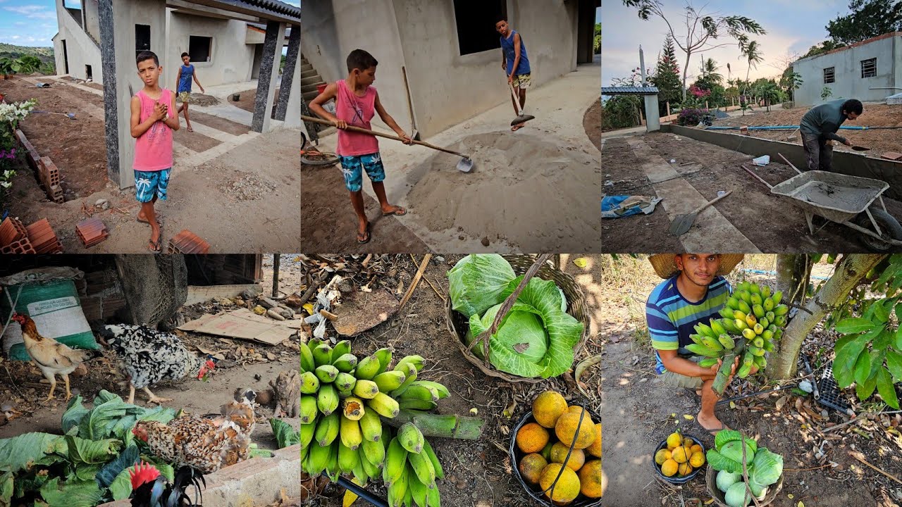Trabalhando com meus sobrinhos  e colheita  ade repolhos na horta, laranja,limão e banana