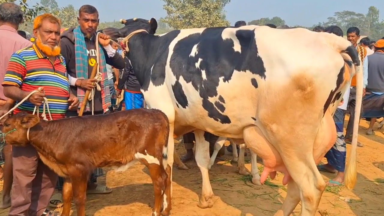 @আজ ২৮ জানুয়ারি