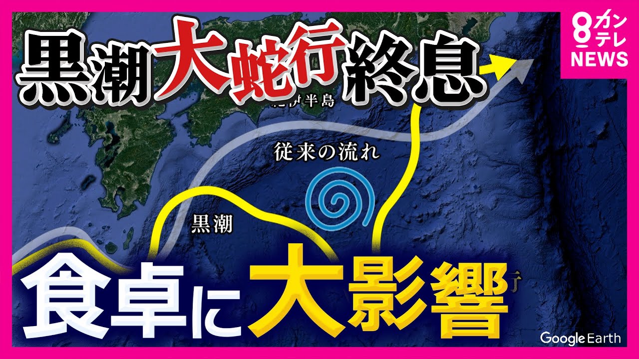 過去最長7年9カ月続いた「黒潮大蛇行」の終息で明暗…サンマは豊漁で半額もカツオの漁獲量は10分の1に減少　全く獲れなくなった肉厚「ひじき」に復活の兆し　専門家「すぐ再開の可能性も」〈カンテレNEWS〉