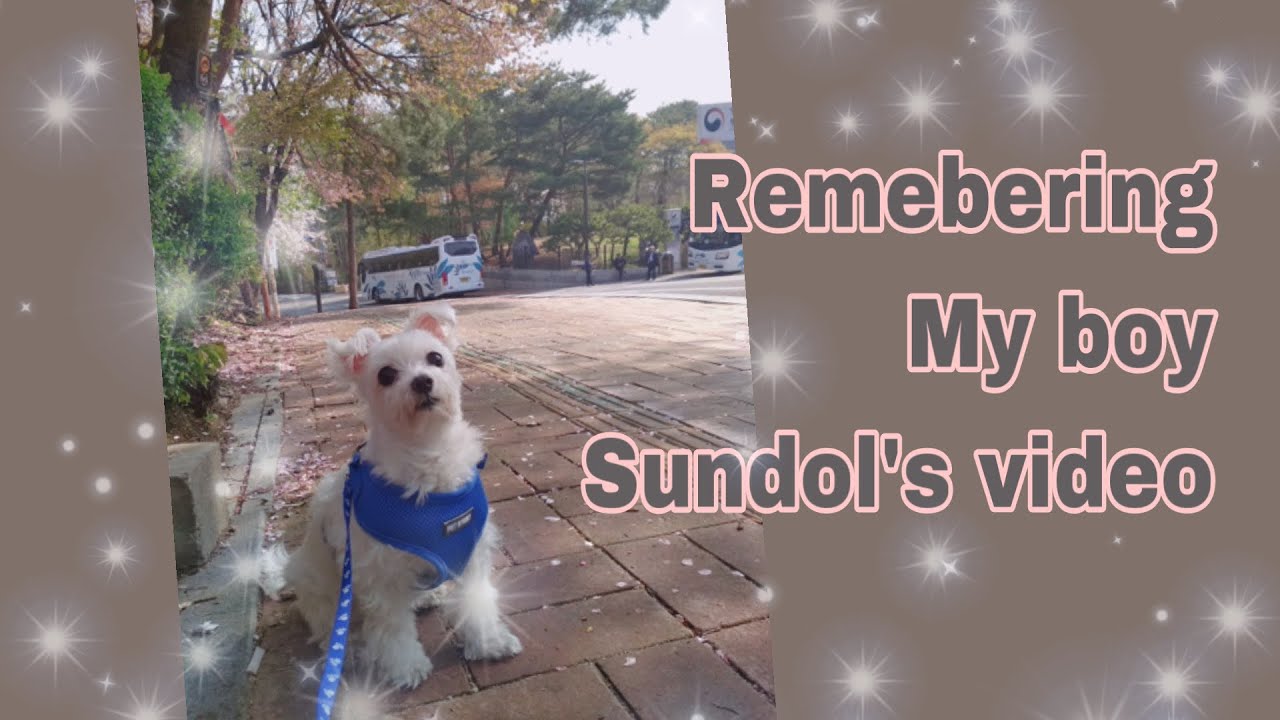 Sundol video (when he was having fun)