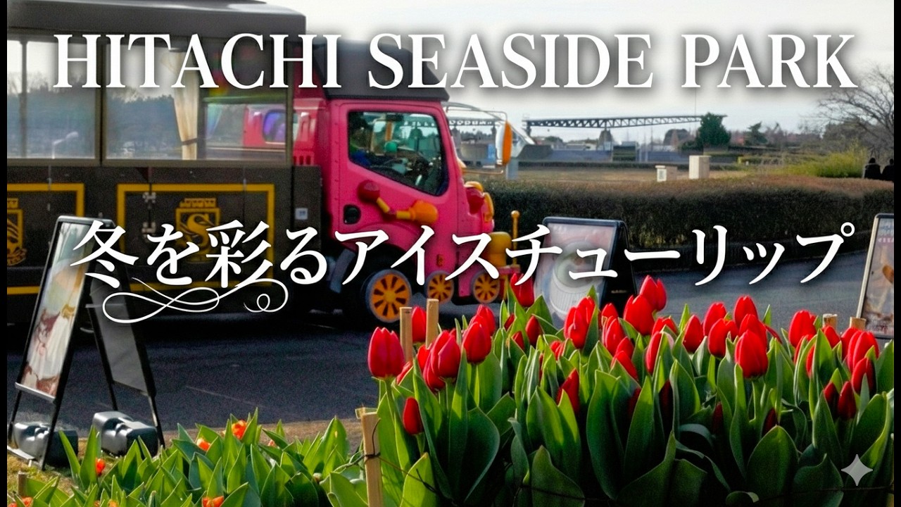 ひたち海浜公園冬を彩るアイスチューリップ