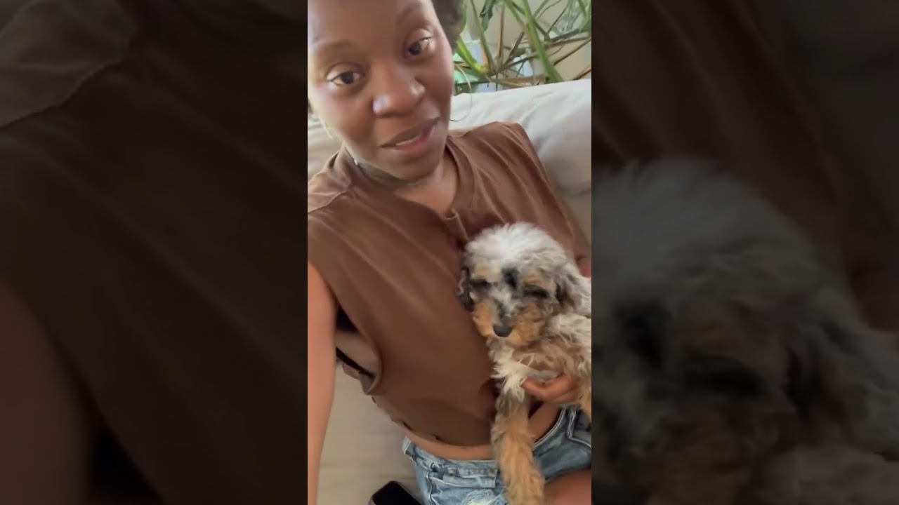 New puppy for our puppy 🐶 Masart Films