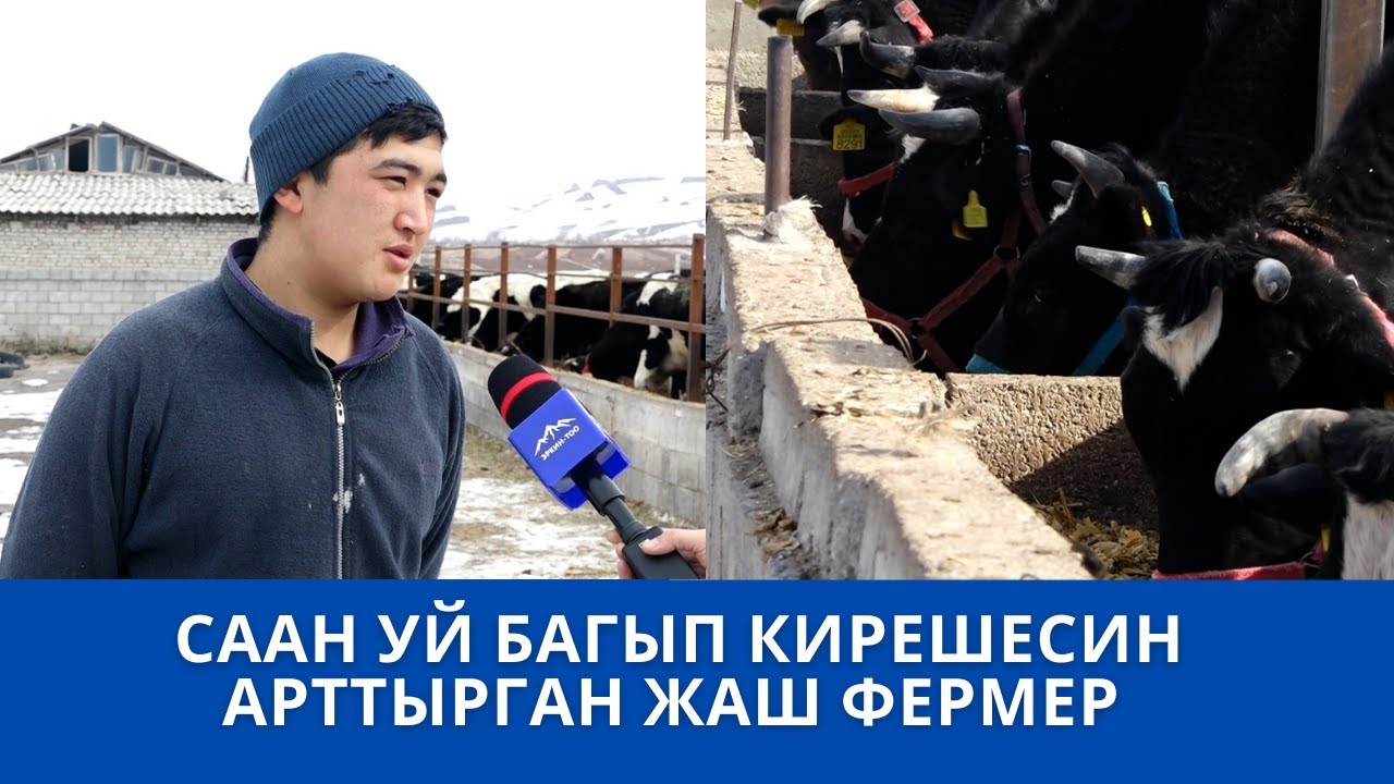 СААН УЙ БАГЫП КИРЕШЕСИН АРТТЫРГАН ЖАШ ФЕРМЕР