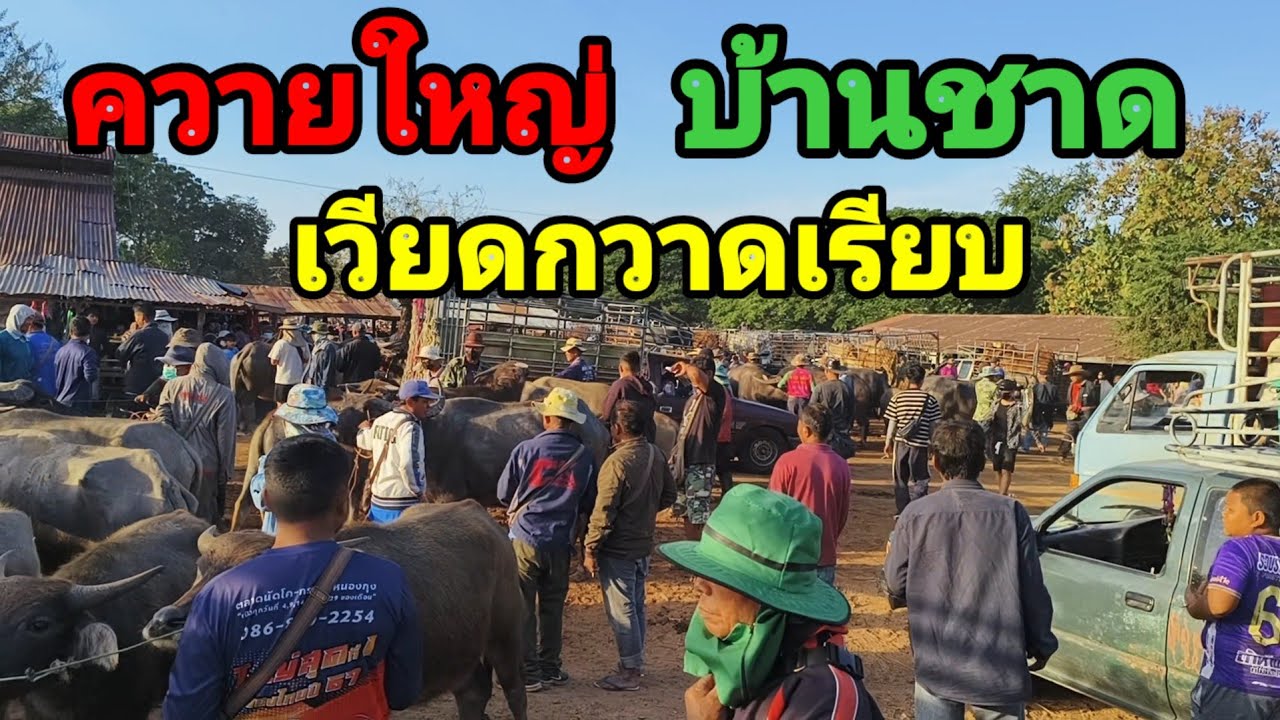 ตลาดบ้านชาด เมืองพล ขอนแก่น ล่าสุด เวียดยึดตลาด