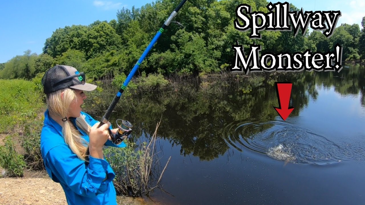 We Caught A SPILLWAY MONSTER!