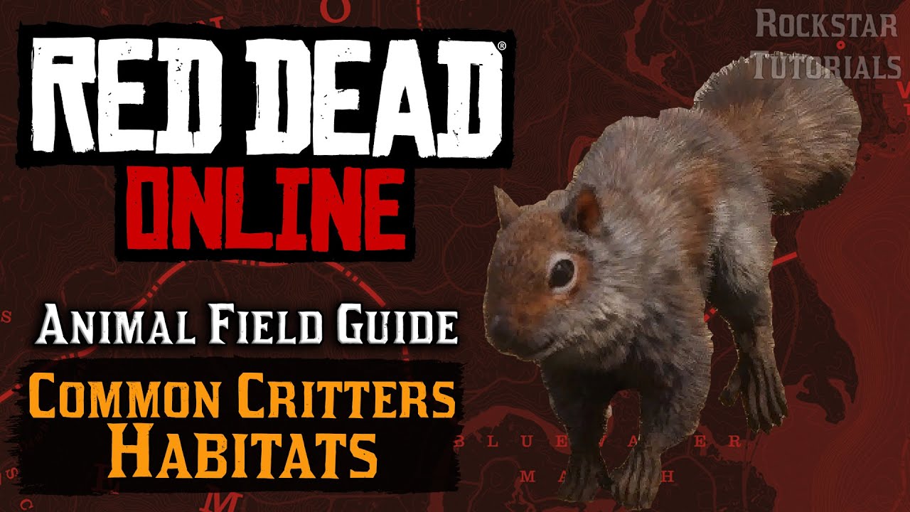 Red Dead Online: All Common Critters (Animal Field Guide)