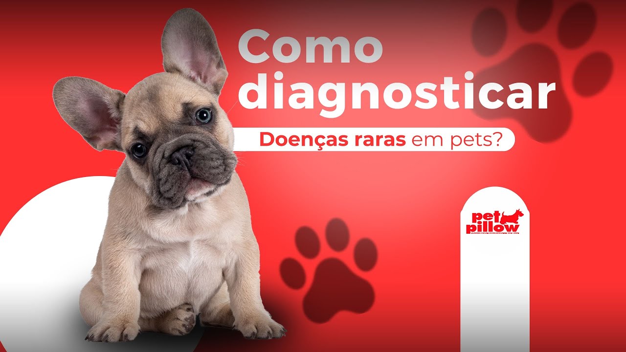 Como diagnosticar doenças raras em pets?