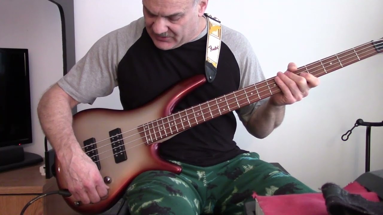 Ibanez SR300E Bass Review: Is it the best bang for the buck?