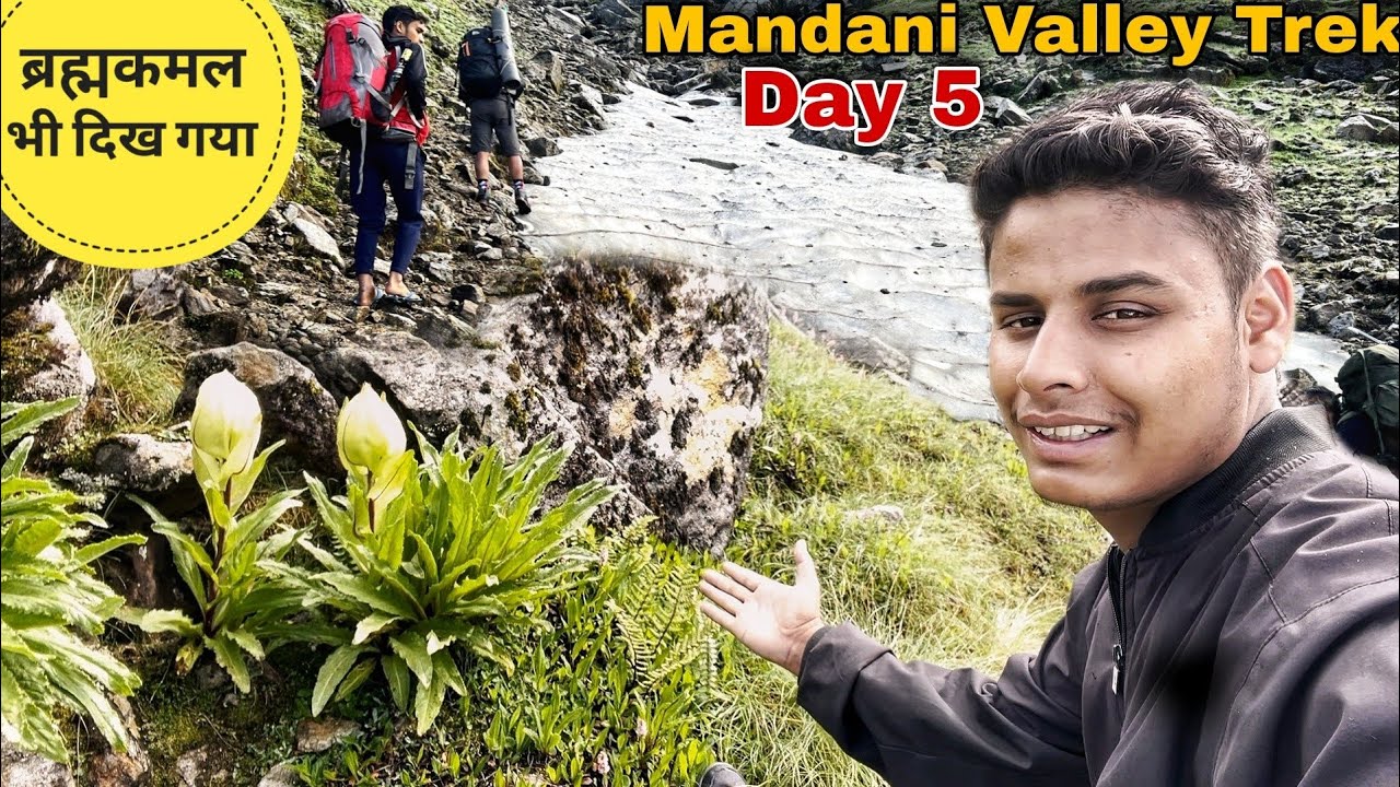 आज Glasier और ब्रह्मकमल भी दिखे | Mandani Valley Trek day - 5 | uttarakhandi life | by RTK vlogs