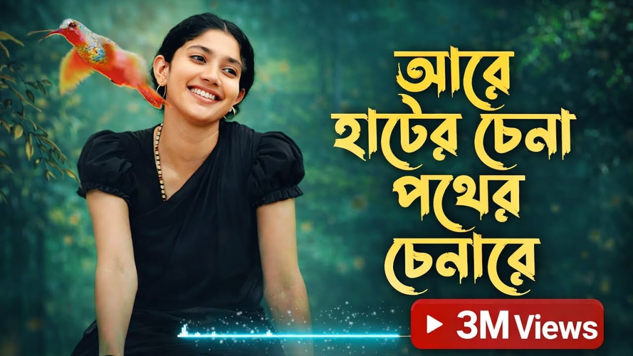 আরে হাটের চেনা পথের চেনারে | Hater Chena Pother Chena re | Tiktok Trending কেউ নাই সংস্যারের মাঝে রে