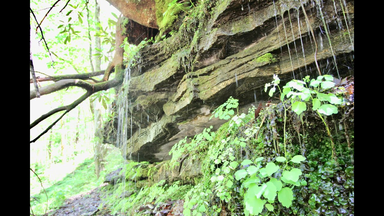 Waterfalls with Relaxing Music and Easy Listening Music