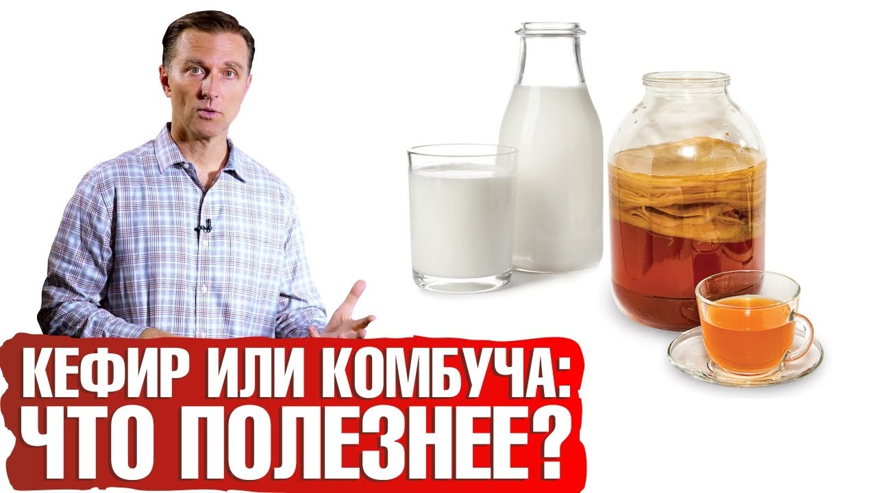 Чайный гриб или кефир?🥛Что полезнее для здоровья и кишечника?