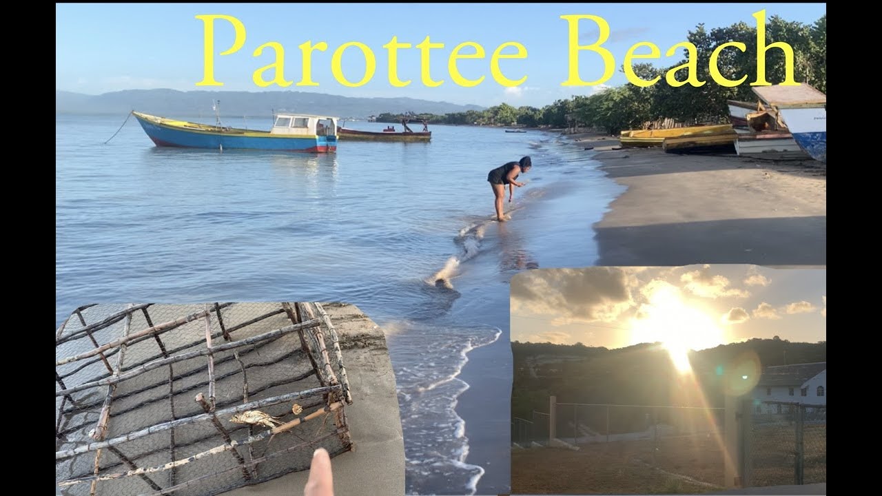 Drive in parottee to the beach