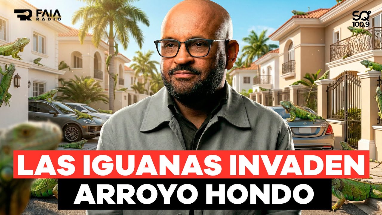 JC ALBELO EXIGE A MEDIO AMBIENTE UNA ZONA PARA LAS IGUANAS DE LAS CALLES DE ARROYO HONDO