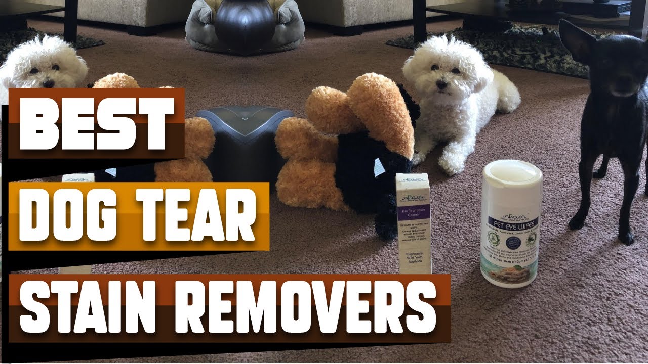 Best Dog Tear Stain Remover In 2026 - Top 10 Dog Tear Stain Removers Review
