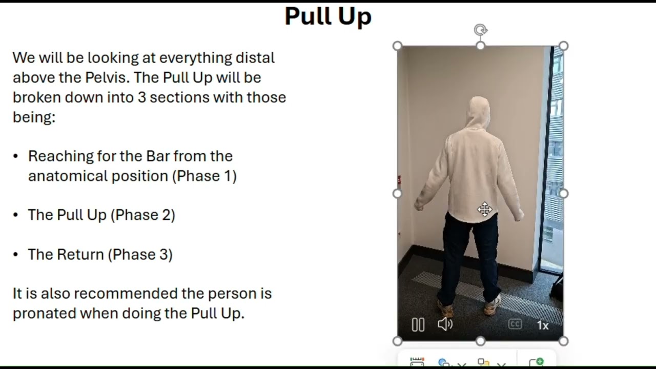 assessment 1 anatomy
