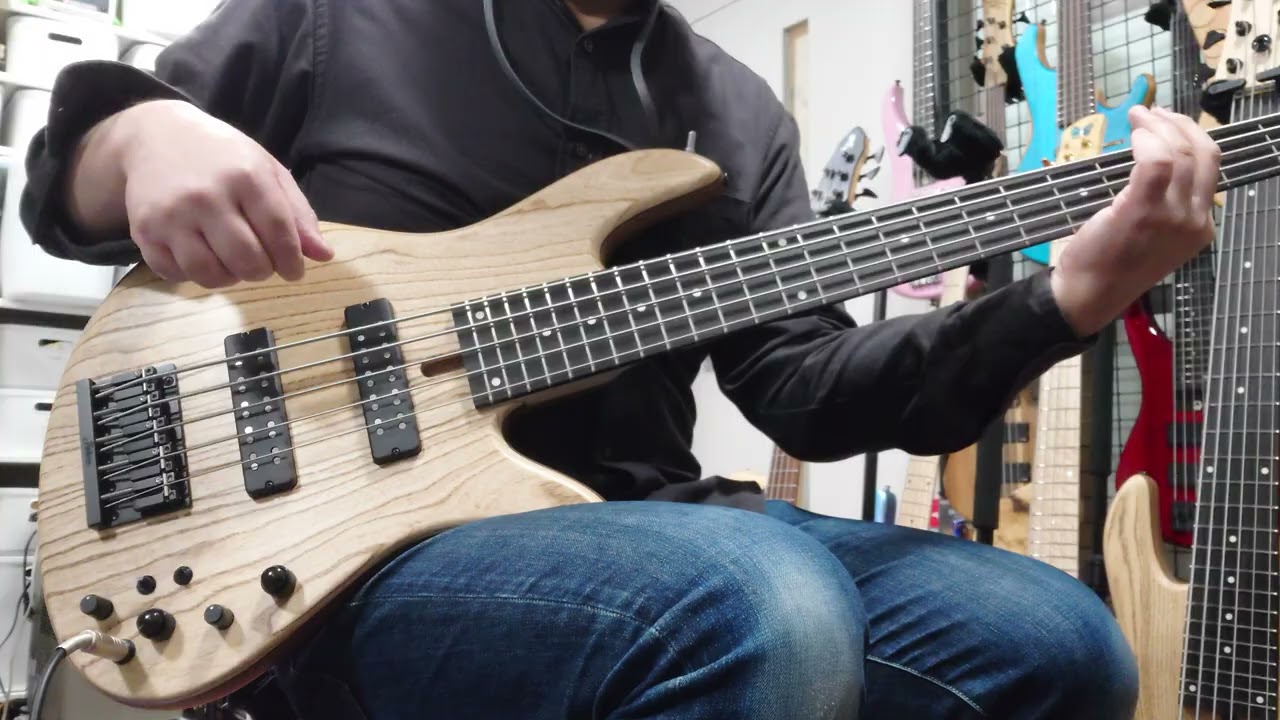 Fodera Emperor 5& 6 Standard Ash DEMO
