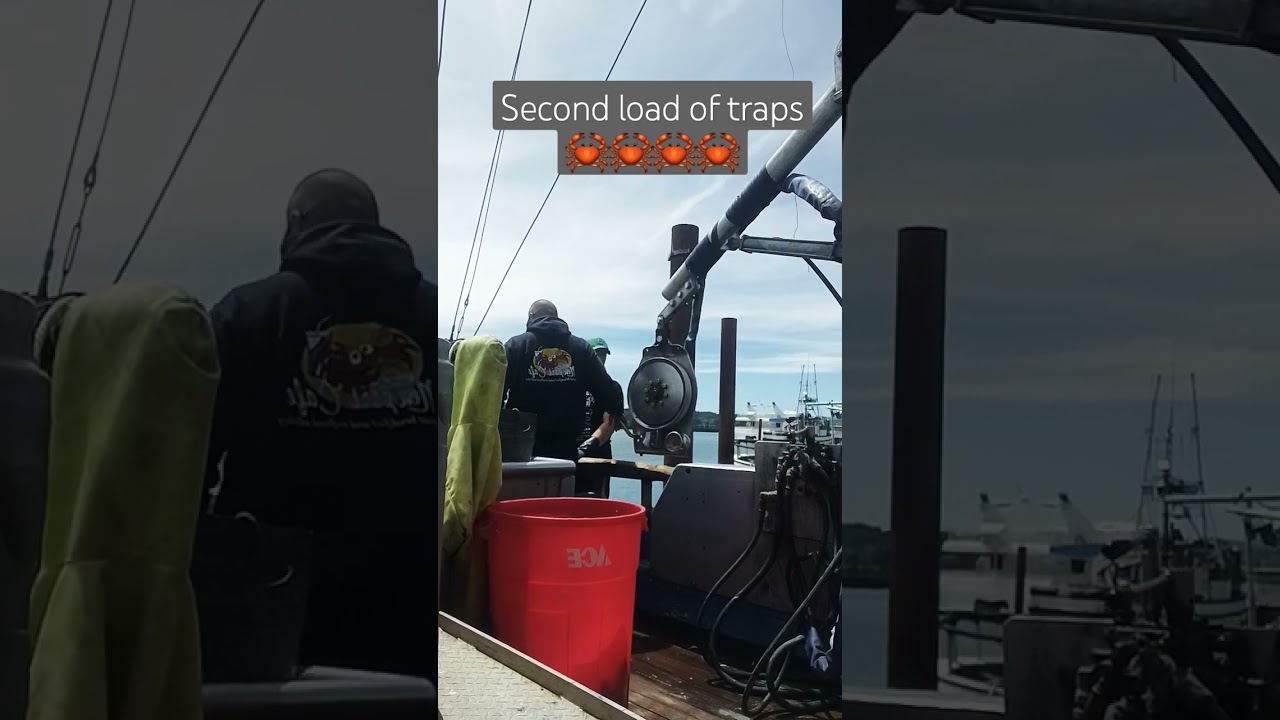 second load of crab traps out the water 