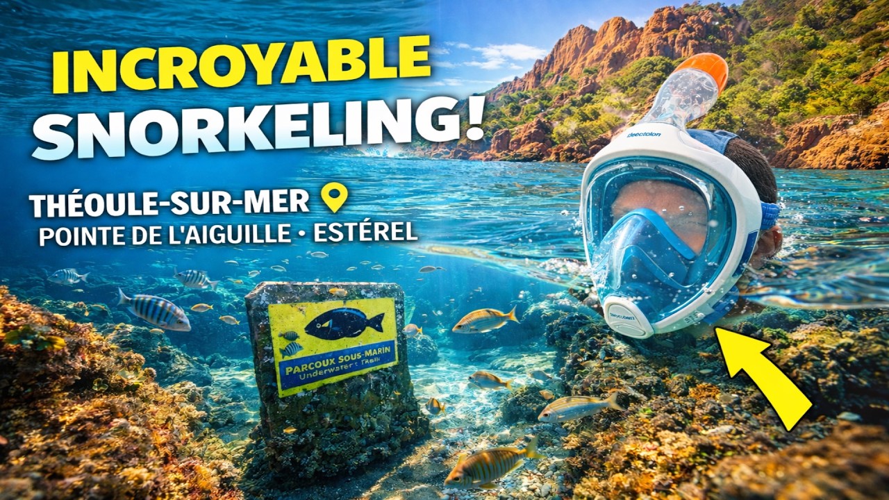 119 - Snorkeling au sentier sous-marin de Théoule-sur-mer - Pointe de l'aiguille - Esterel