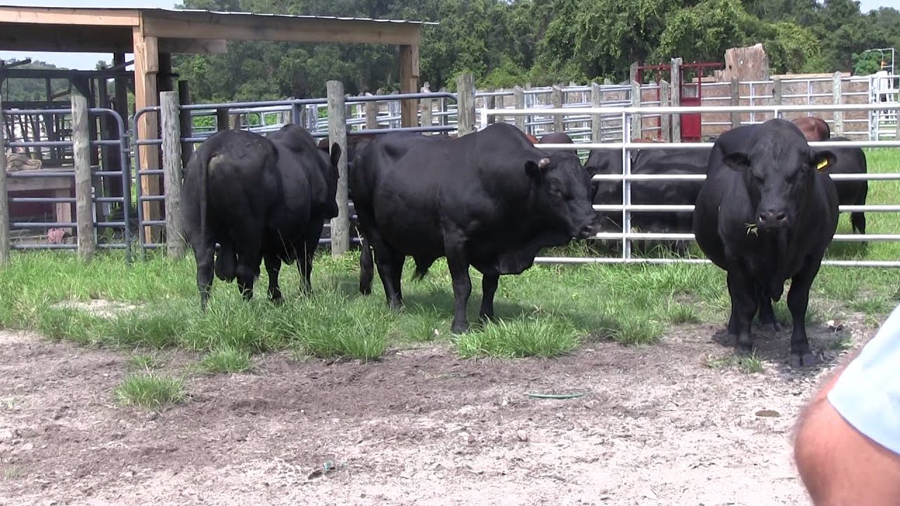 Sustainable Ranching, Day 2 Part 5