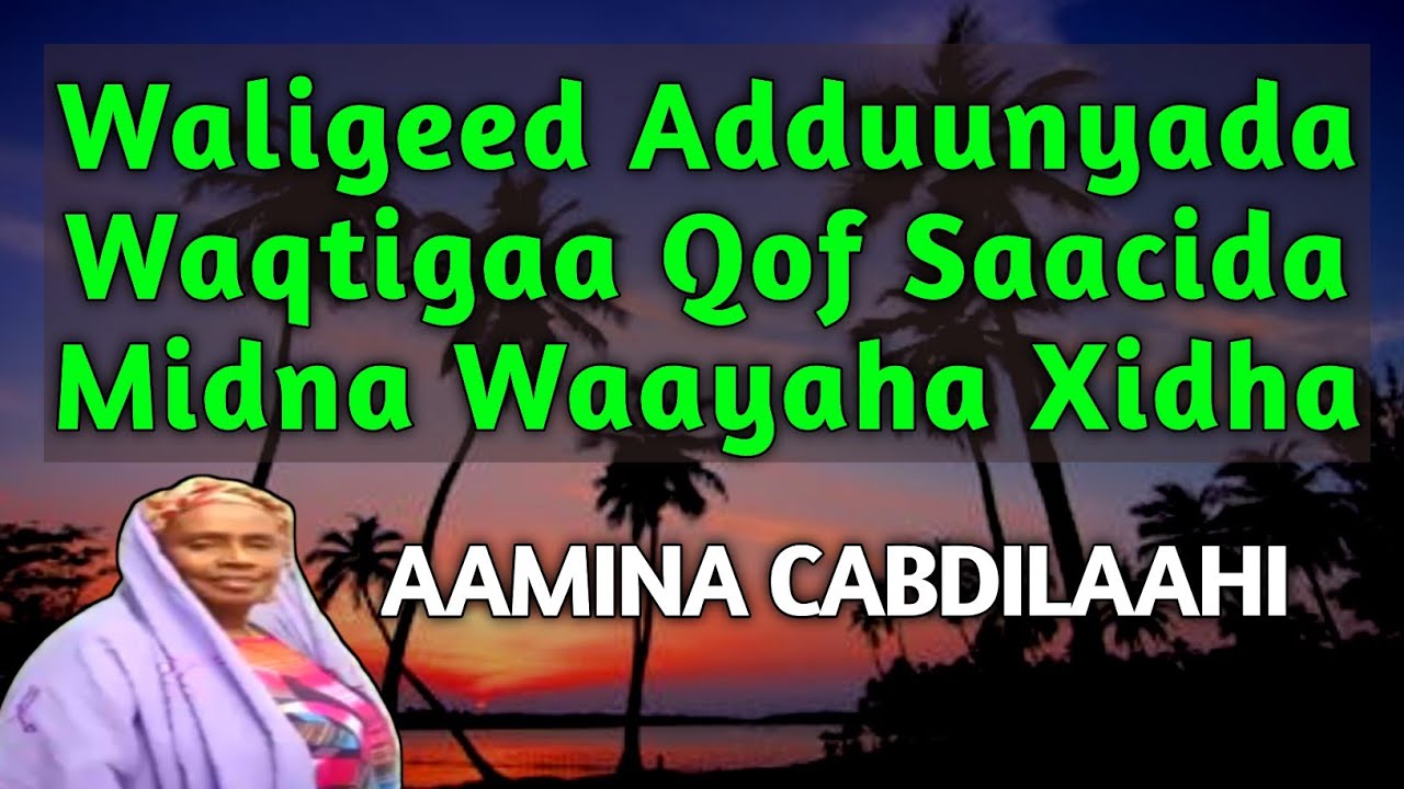 waligeed aduunyada waqtiga qof sacida | aamina cabdilaahi waligeed aduunyada | caashaqu wadaad maleh