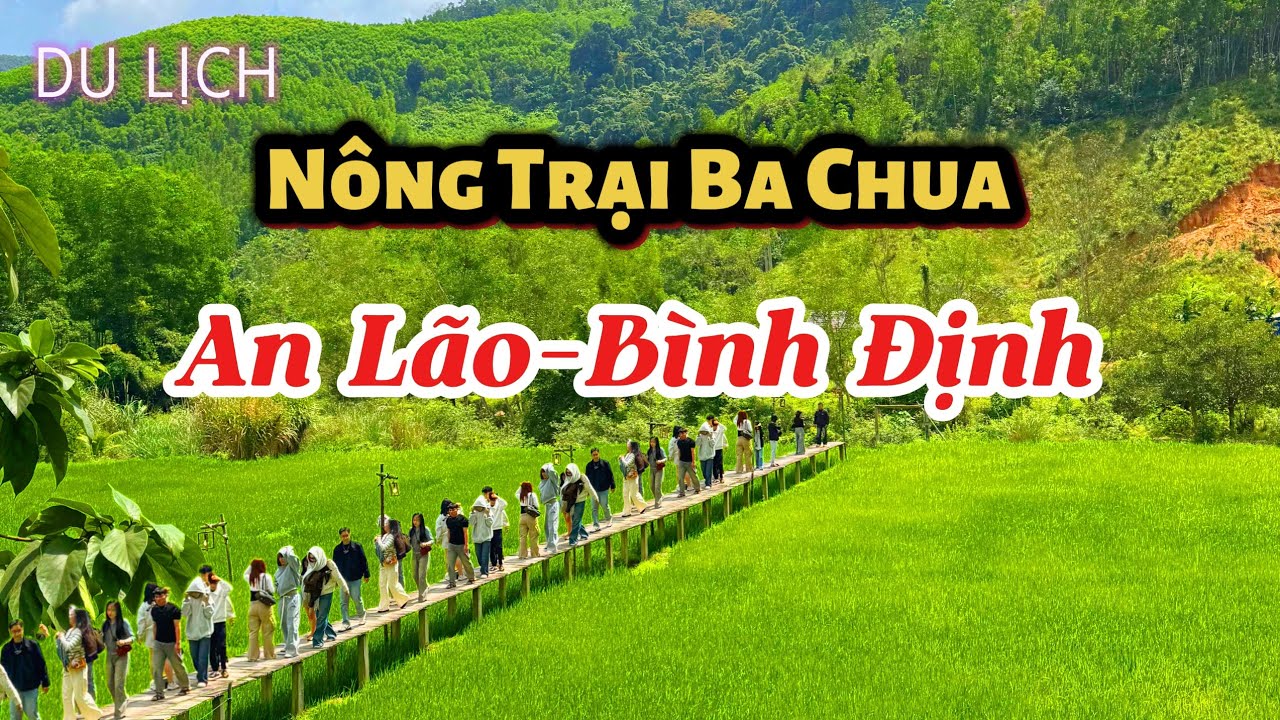 Tết 2026 An Lão , Bình Định , Du Lịch Nông Trại Ba Chua | Huỳnh Như Việt 77 