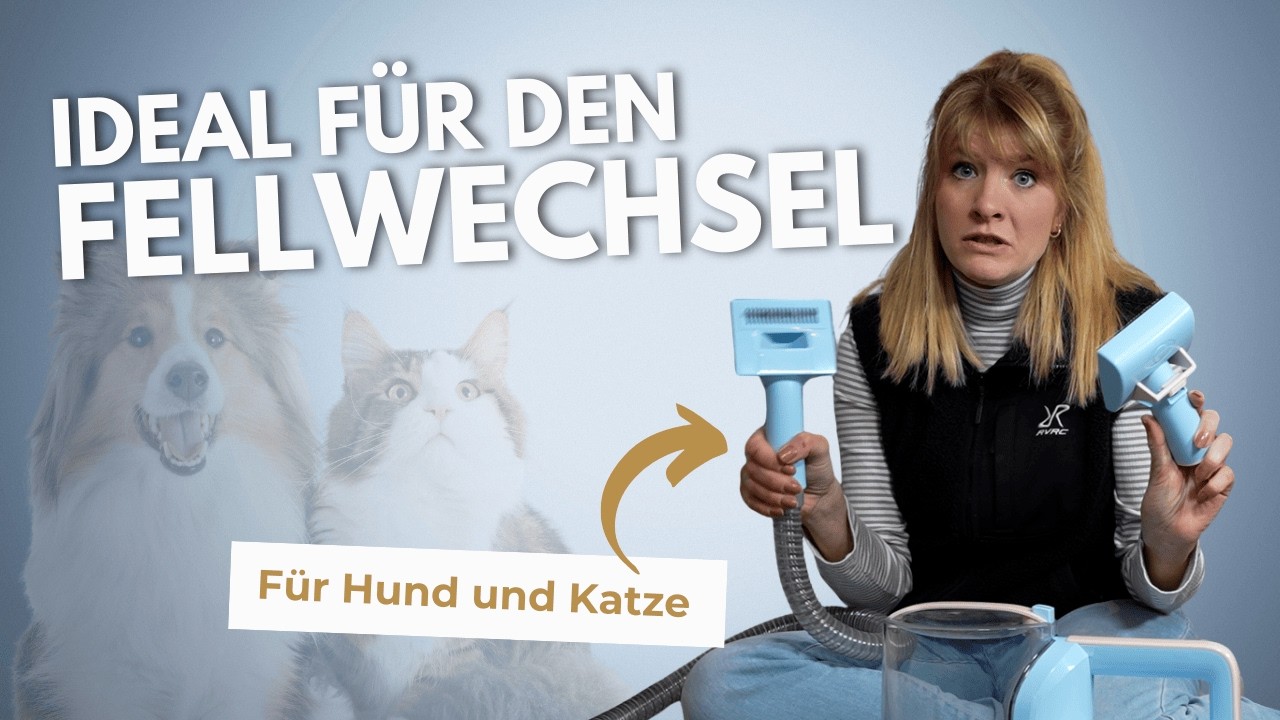 Fellwechsel bei Hund & Katze – Lohnt sich ein Tierhaar-Staubsauger? 🐶🐱PETGUGU