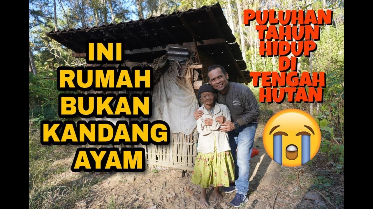 NENEK SEBATANG KARA PULUHAN TAHUN TINGGAL DI HUTAN PINUS. HIDUP DI GUBUK REOT MIRIP KANDANG AYAM.