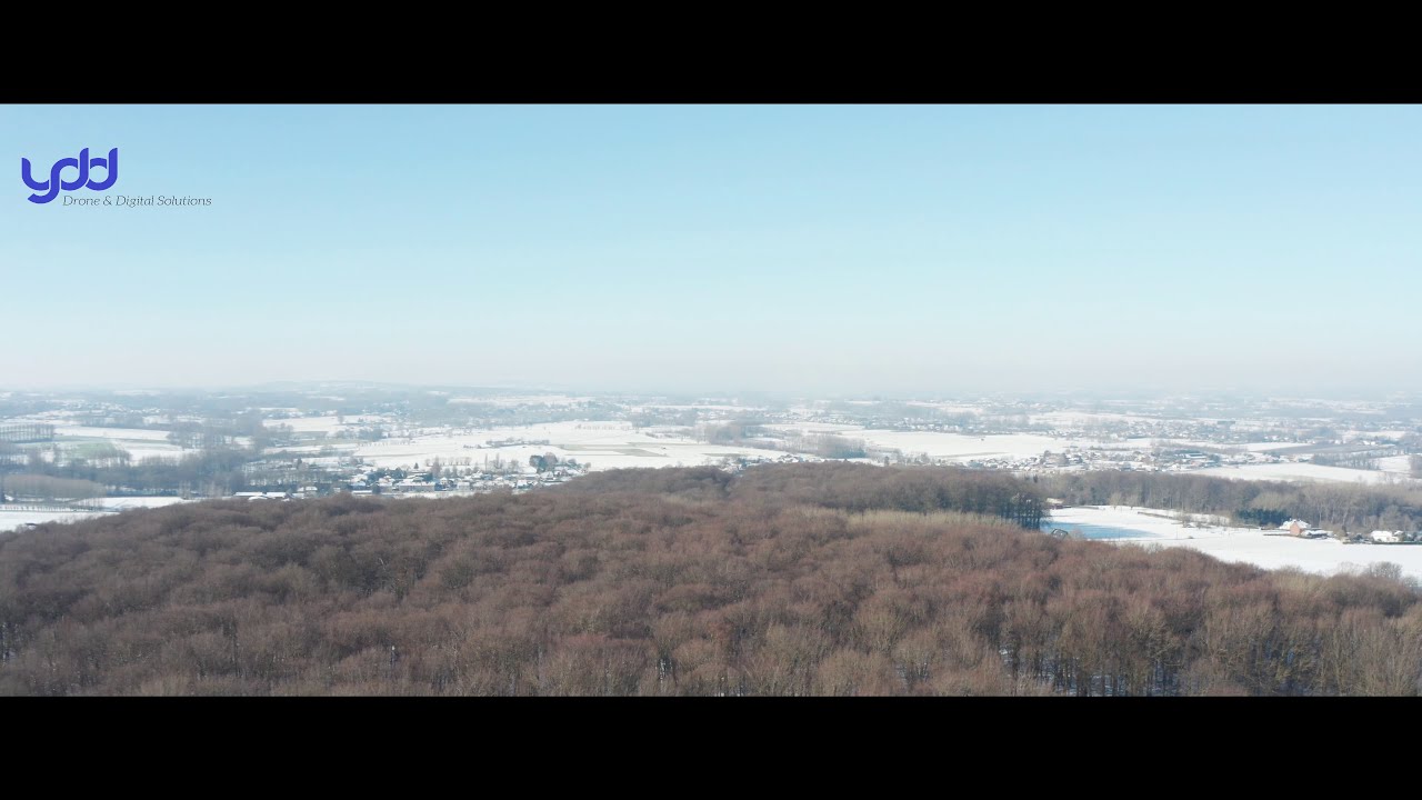 Cinematografische beelden van Neigembos in de winter 2021.